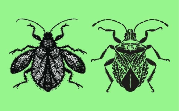 Lace Bug Silhouette SVG Design Review for Real Projects